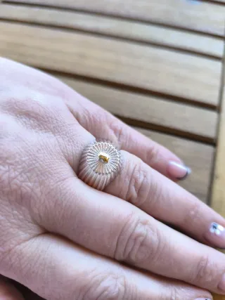 Anillo Tous Oro y Plata