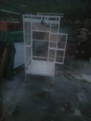Jaula para pájaros blanca