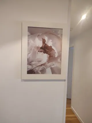 Cuadros decorativos florales beige y rosa