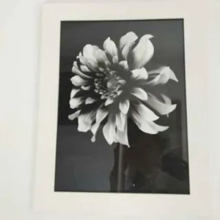 Cuadros decorativos florales beige y rosa