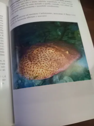 Pericoli da vita acquatica