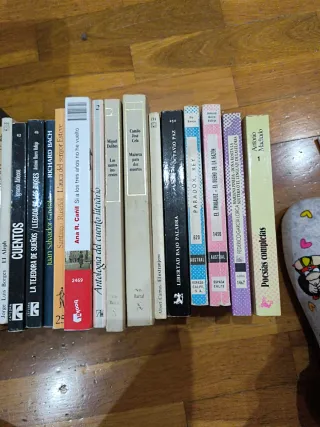 22 libros de literatura clásica española