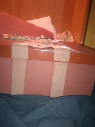 Maleta Manualidad Flores y Mariposas