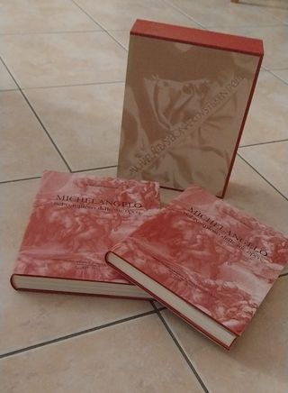 Michelangelo nel complesso delle sue opere (Ita...