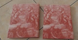 Michelangelo nel complesso delle sue opere (Ita...