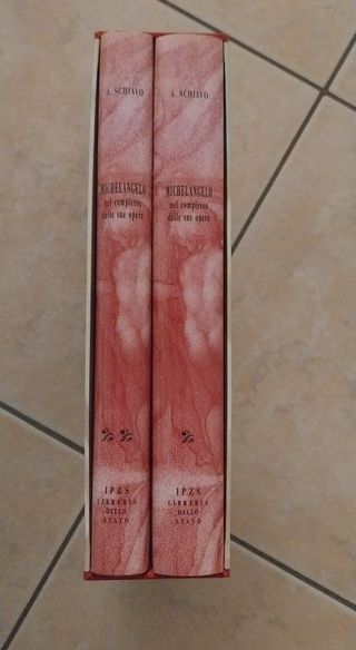 Michelangelo nel complesso delle sue opere (Ita...