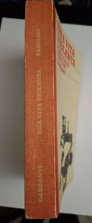 Romanzo Pier Paolo Pasolini. Una vita violenta