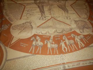 Foulard didattico vittoriano della Cavalleria EI