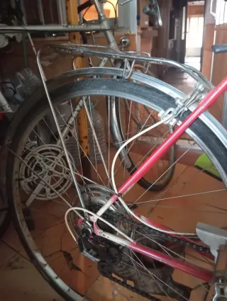 Bicicleta de paseo