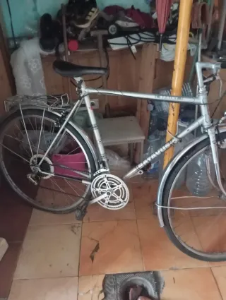 Bicicleta de paseo