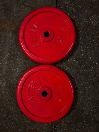 Pareja Discos SALTER 2x20 kg