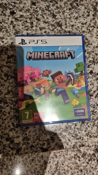 Minecraft per PS5