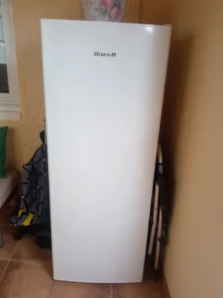 Congelador vertical Brandt