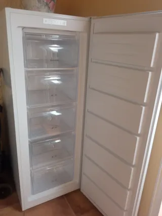 Congelador vertical Brandt