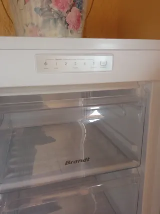 Congelador vertical Brandt