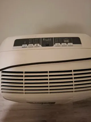 Pingüino Delonghi 9800 BTU/h Aire Acondicionado Po