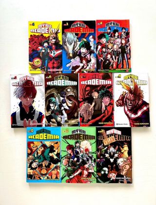 My Hero Academia venta privada n 24
