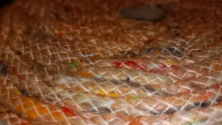 Bobina de cuerda vivo para costura