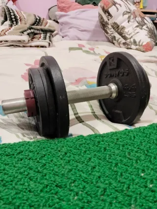 Mancuerna con discos de 2 kilos y de kilo.