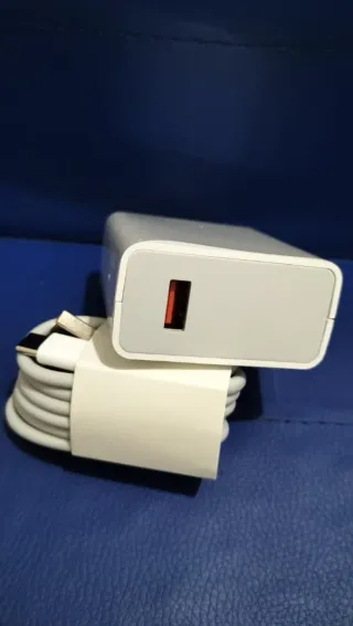 Caricabatterie Rapido 67W + Cavo