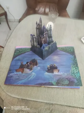 Harry Potter y la piedra filosofal edición despleg