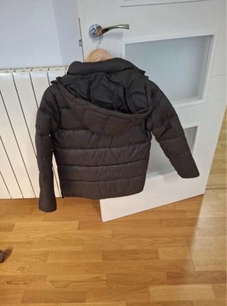 Cazadora Scalpers Marrón