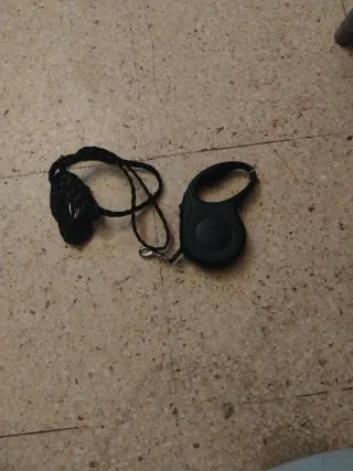 Correa retráctil para perros y collar