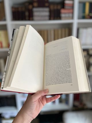 Los Buddenbrook. Thomas Mann