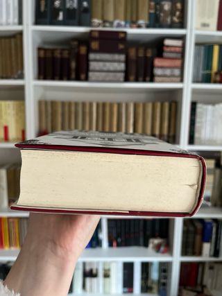 Los Buddenbrook. Thomas Mann