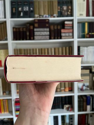 Los Buddenbrook. Thomas Mann