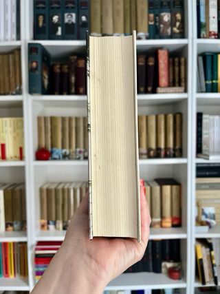 Los Buddenbrook. Thomas Mann