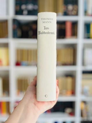 Los Buddenbrook. Thomas Mann