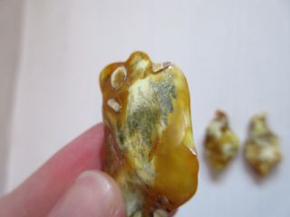 3 pietre Ambra Baltica naturale. Colore giallo.