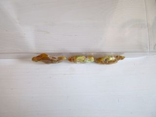 3 pietre Ambra Baltica naturale. Colore giallo.