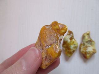 3 pietre Ambra Baltica naturale. Colore giallo.