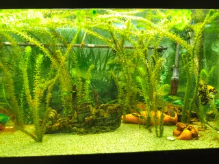 Mueble Acuario Negro