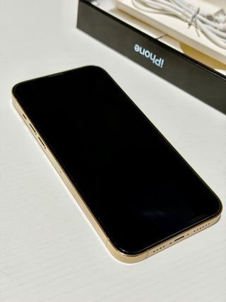 iPhone 13 Pro Max 256 GB