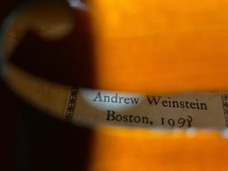 Violín Profesional 4/4