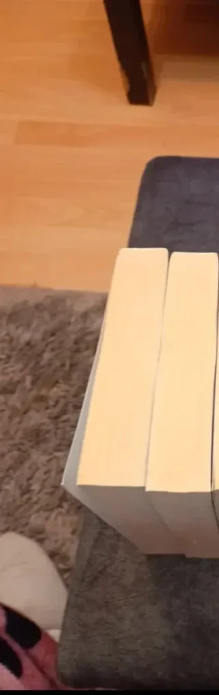 2 primeros libros saga Again