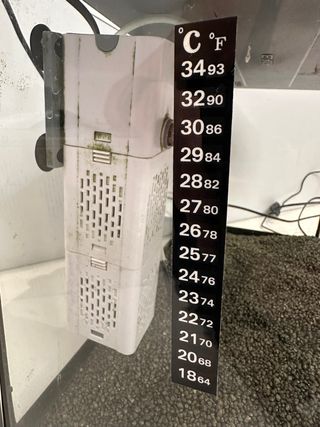 Acuario 33L con calentador y filtro