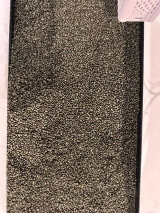 Acuario 33L con calentador y filtro