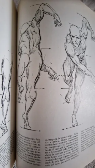 Libro Il corpo in movimento corso di disegno