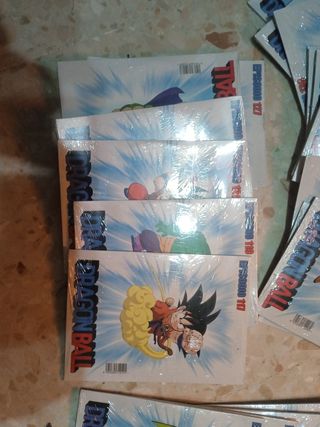 DVD dragónball