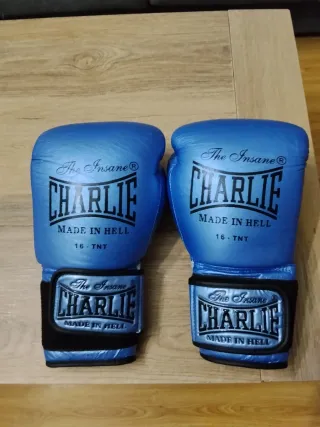 Guantes de Boxeo Charlie Azul/Plata
