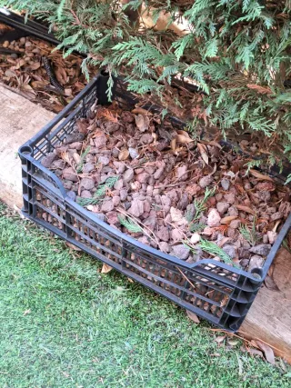 8 Cajas Piedra Volcánica