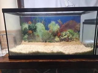 Vendo pecera acuario de 100L