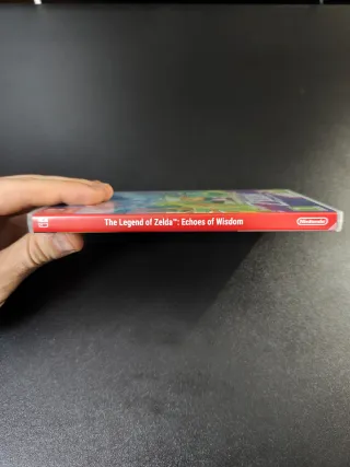 The Legend of Zelda: Echoes of Wisdom Switch