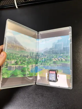 The Legend of Zelda: Echoes of Wisdom Switch