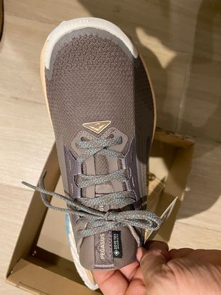 Nike Pegasus Trail 5 GTX GORETEX W