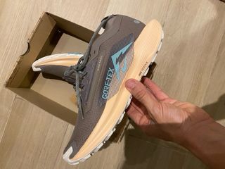 Nike Pegasus Trail 5 GTX GORETEX W